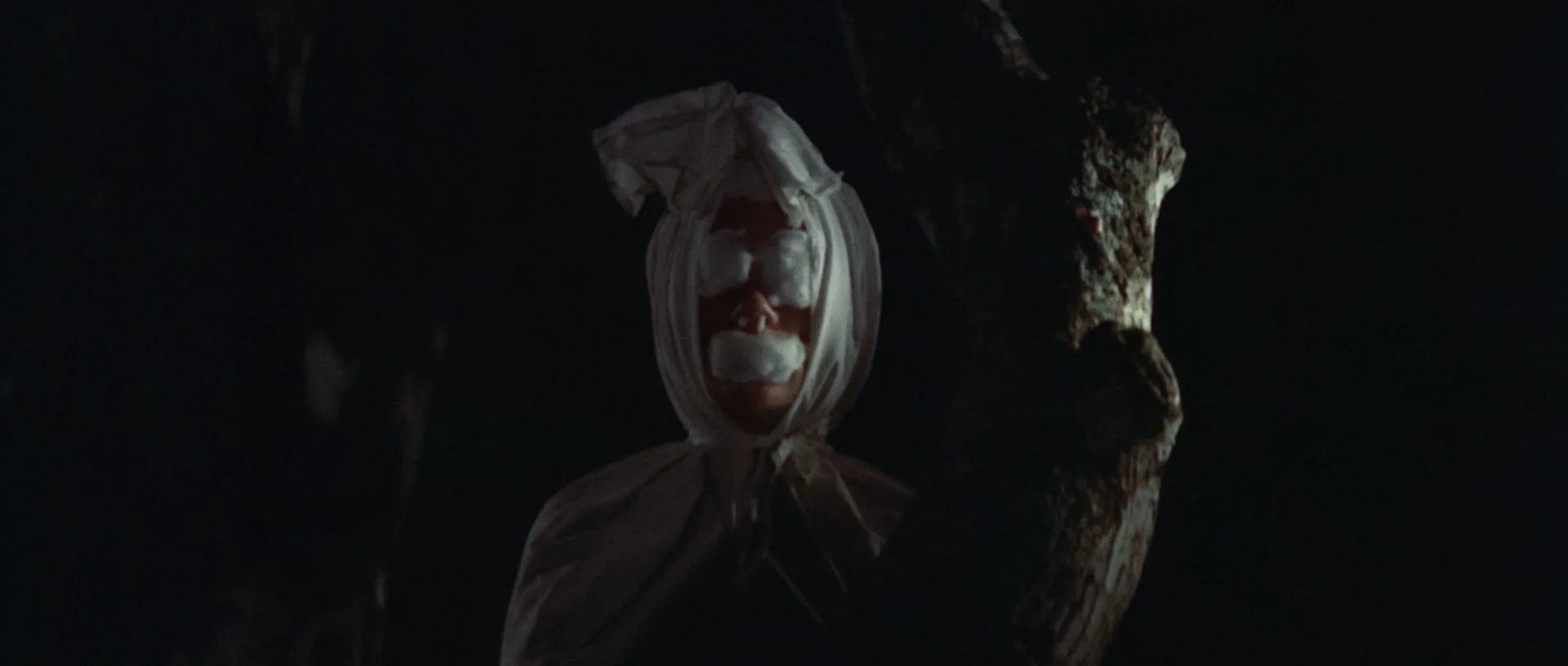 All The Haunts Be Ours: A Compendium Of Folk Horror Vol. 2 [DAMAGED Box Set] - Image 31
