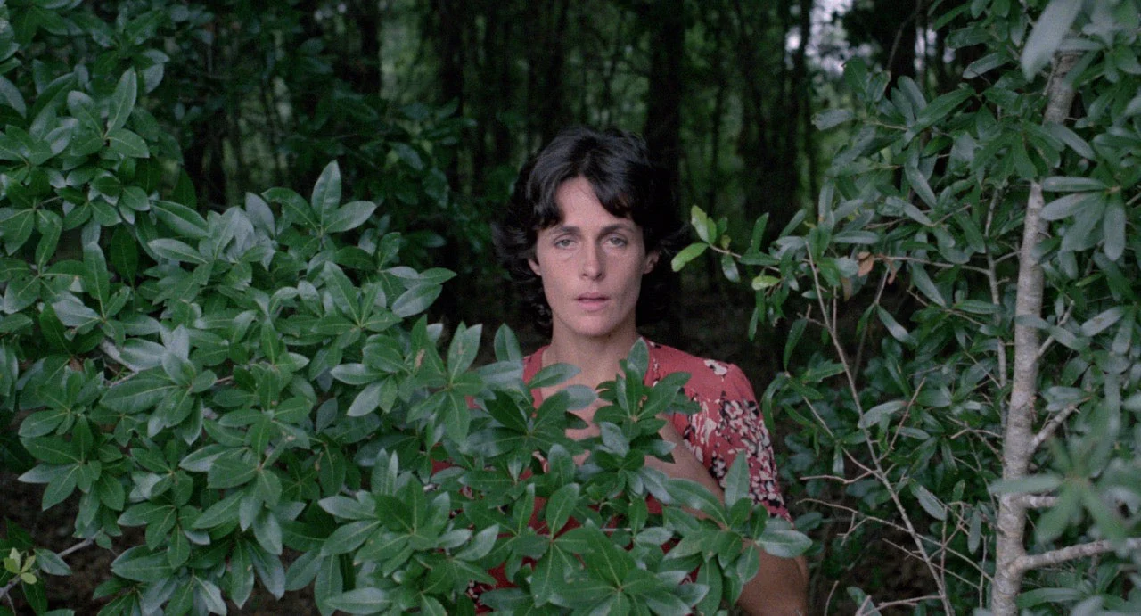 All The Haunts Be Ours: A Compendium Of Folk Horror Vol. 2 [DAMAGED Box Set] - Image 36