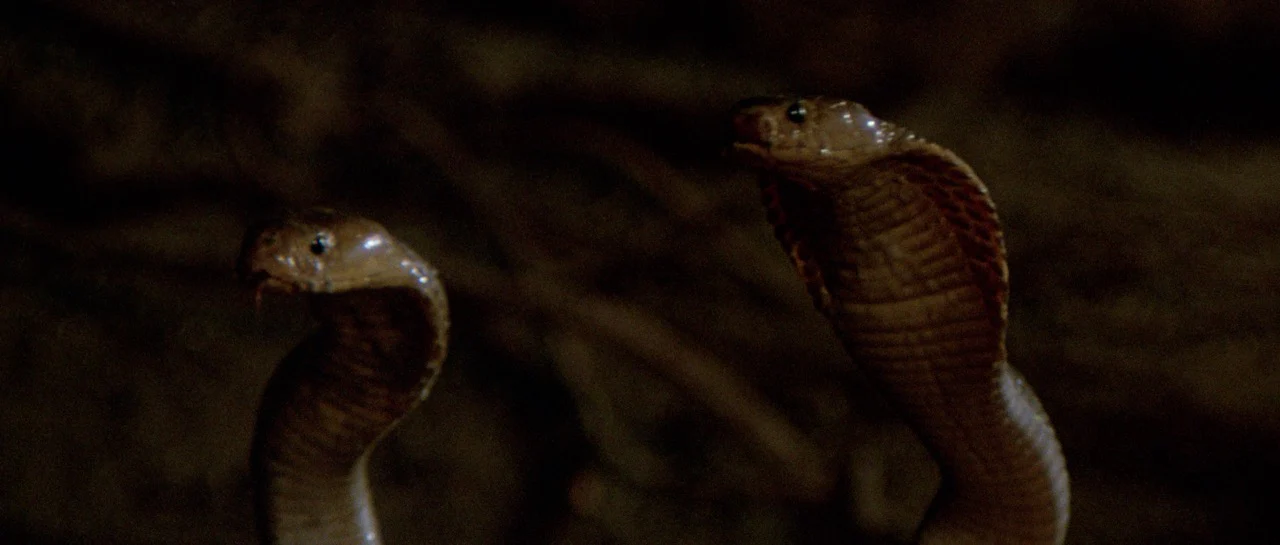 ANTONIO MARGHERITI & THE JUNGLES OF DOOM:  HIS ‘80s ADVENTURE FILMS [3 Blu-rays in Limited Edition Collection Slipcase] - Image 35