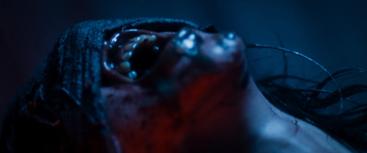 Baskin [Blu-ray] - Image 4