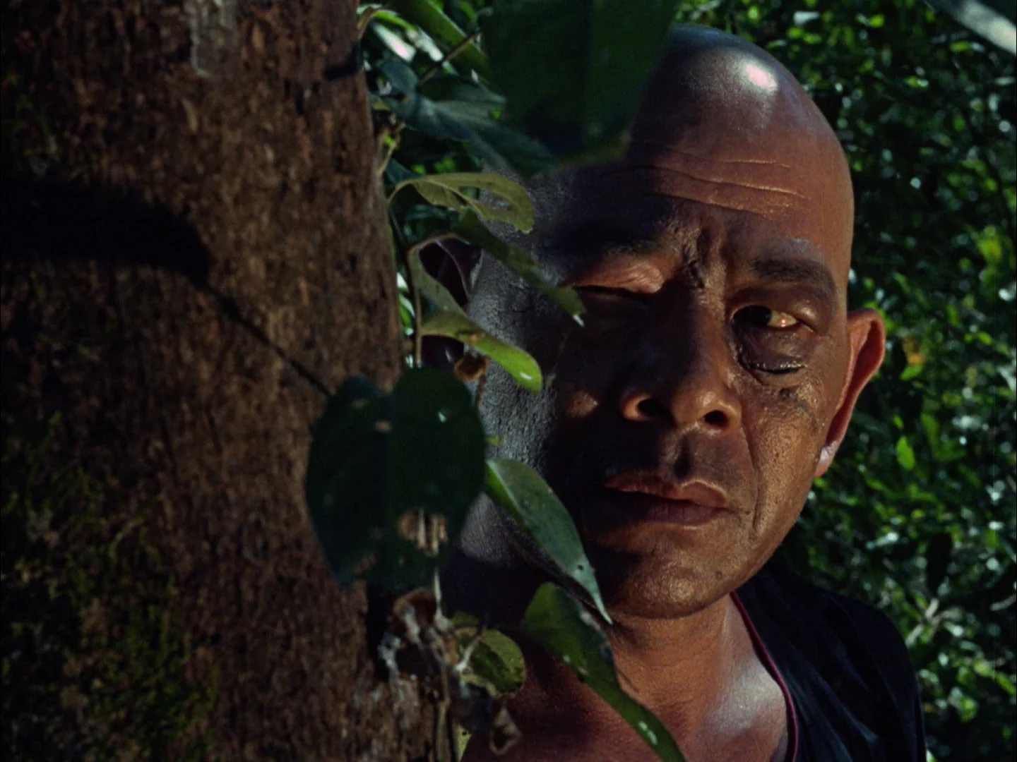 Fear in the Philippines: The Complete Blood Island Films [2-Disc Blu-ray w/Slipcase] - Image 17