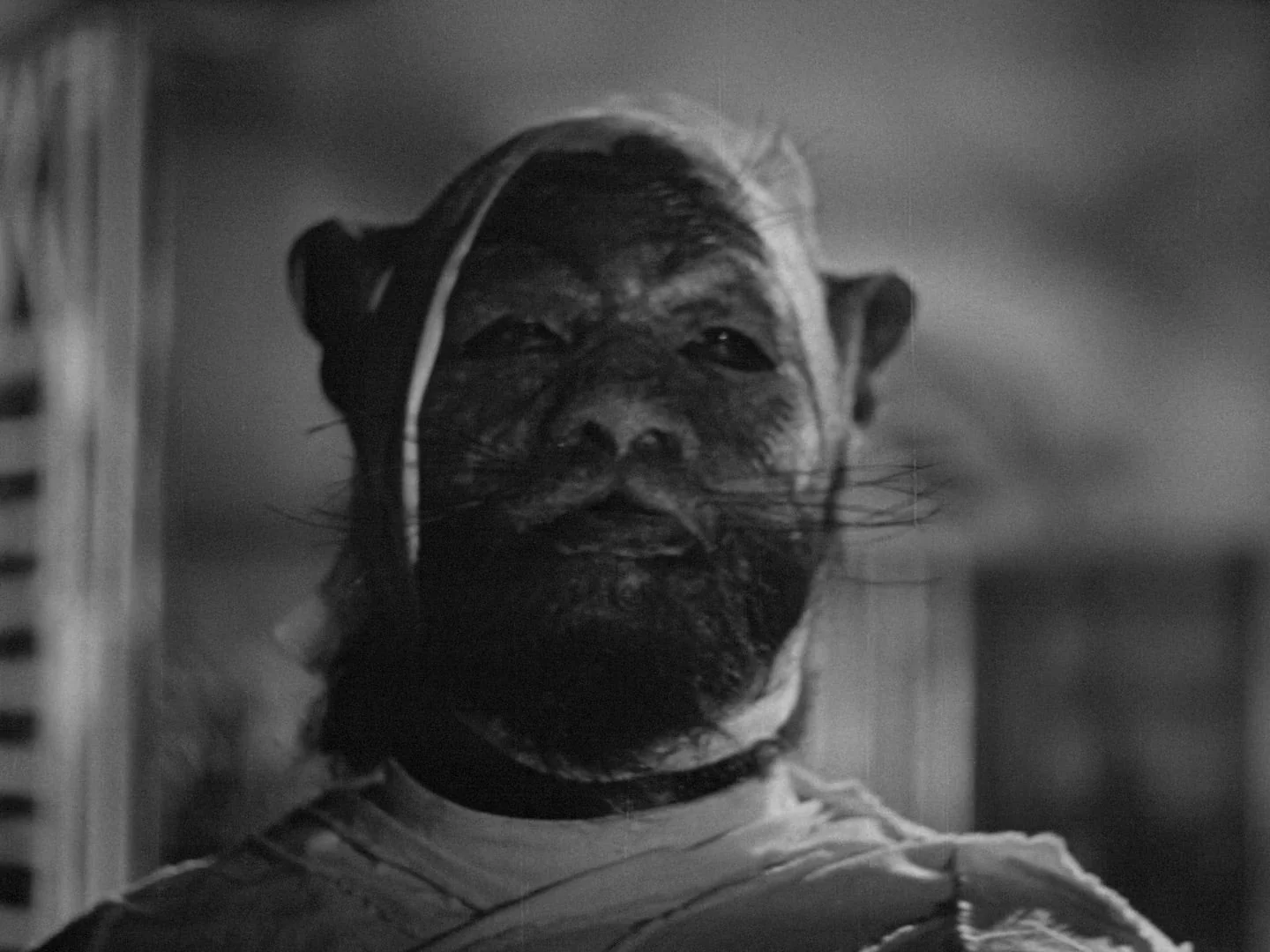 Fear in the Philippines: The Complete Blood Island Films [2-Disc Blu-ray w/Slipcase] - Image 45