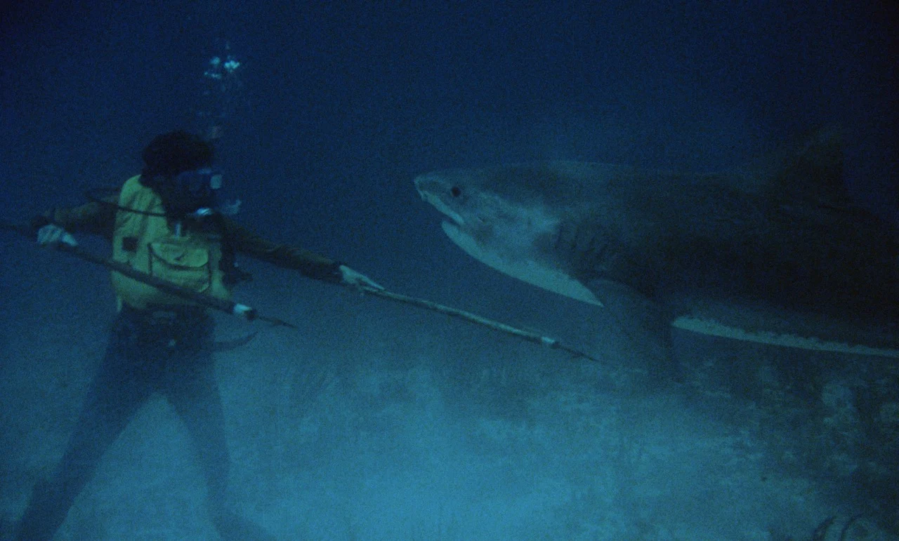 Night of the Sharks [Blu-ray + CD w/LE Slipcover] - Image 15