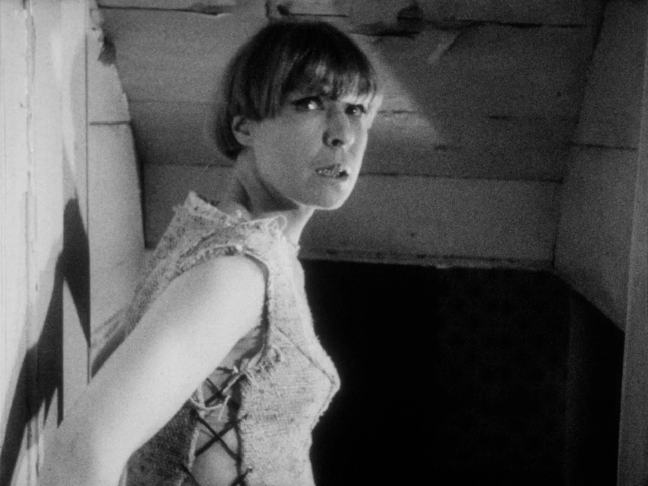 Gutter Auteur: The Lost Legacy of Andy Milligan [3-Disc Blu-ray Box Set] - Image 14