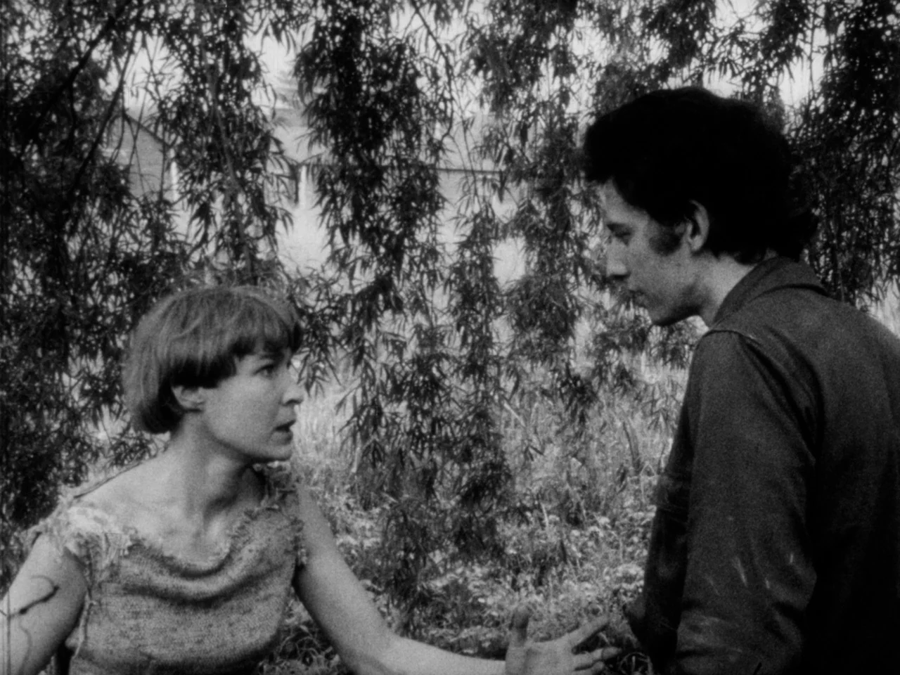 Gutter Auteur: The Lost Legacy of Andy Milligan [3-Disc Blu-ray Box Set] - Image 17