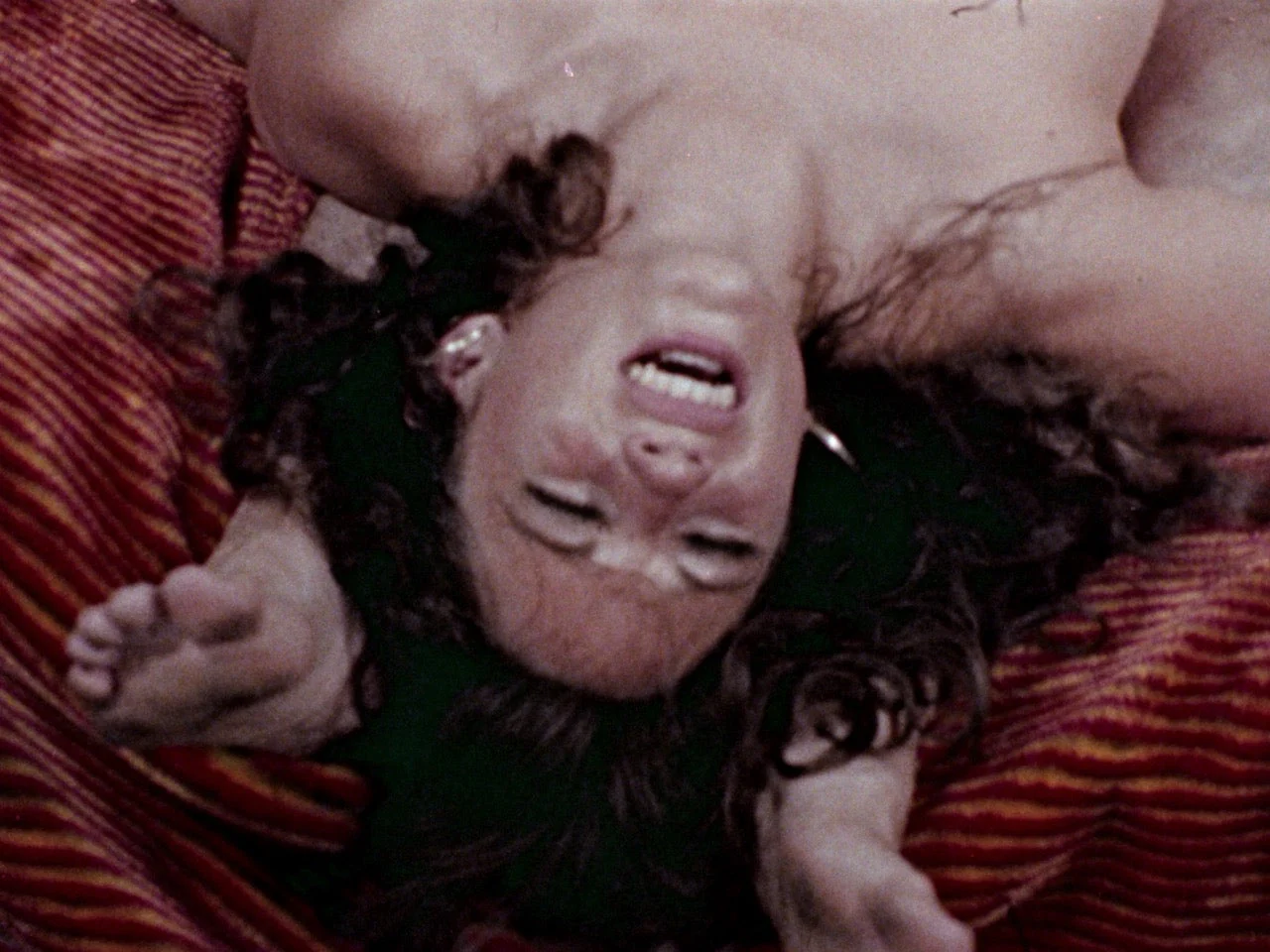 Hard Wood: The Adult Features of Ed Wood [3-Disc Blu-ray] - Image 2