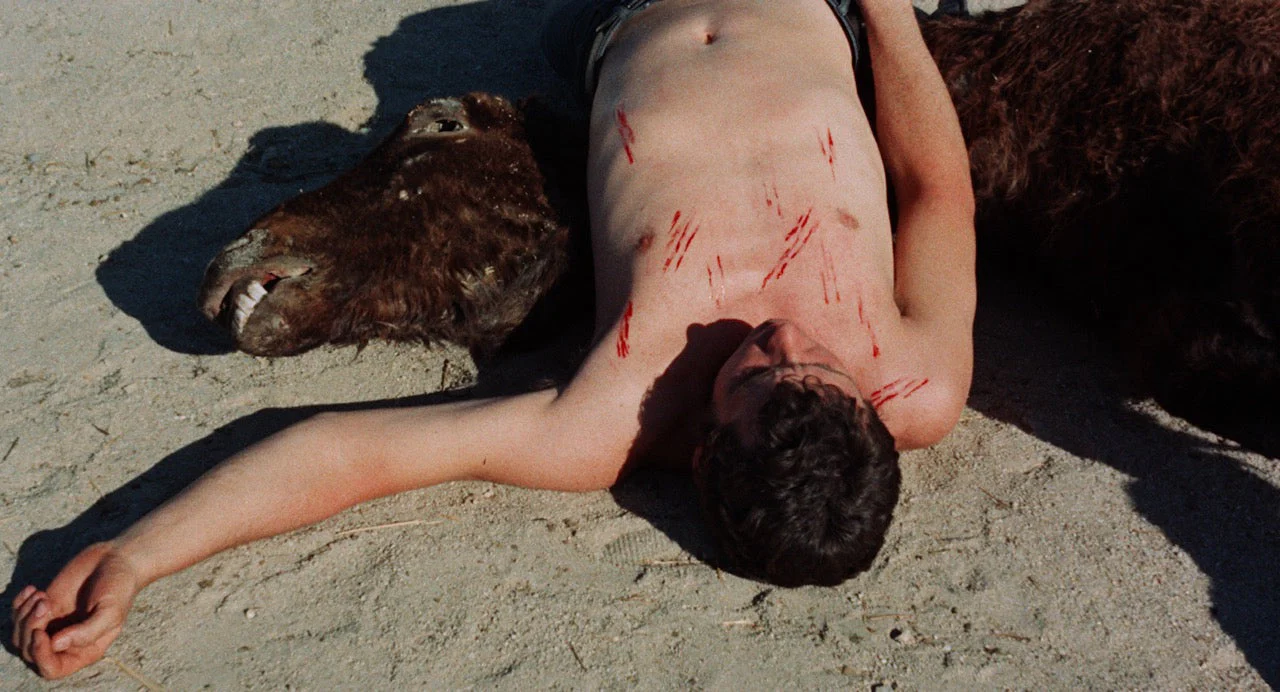 House of Psychotic Women: Rarities Collection Volume 2 [4-Disc Blu-ray Box Set] - Image 36