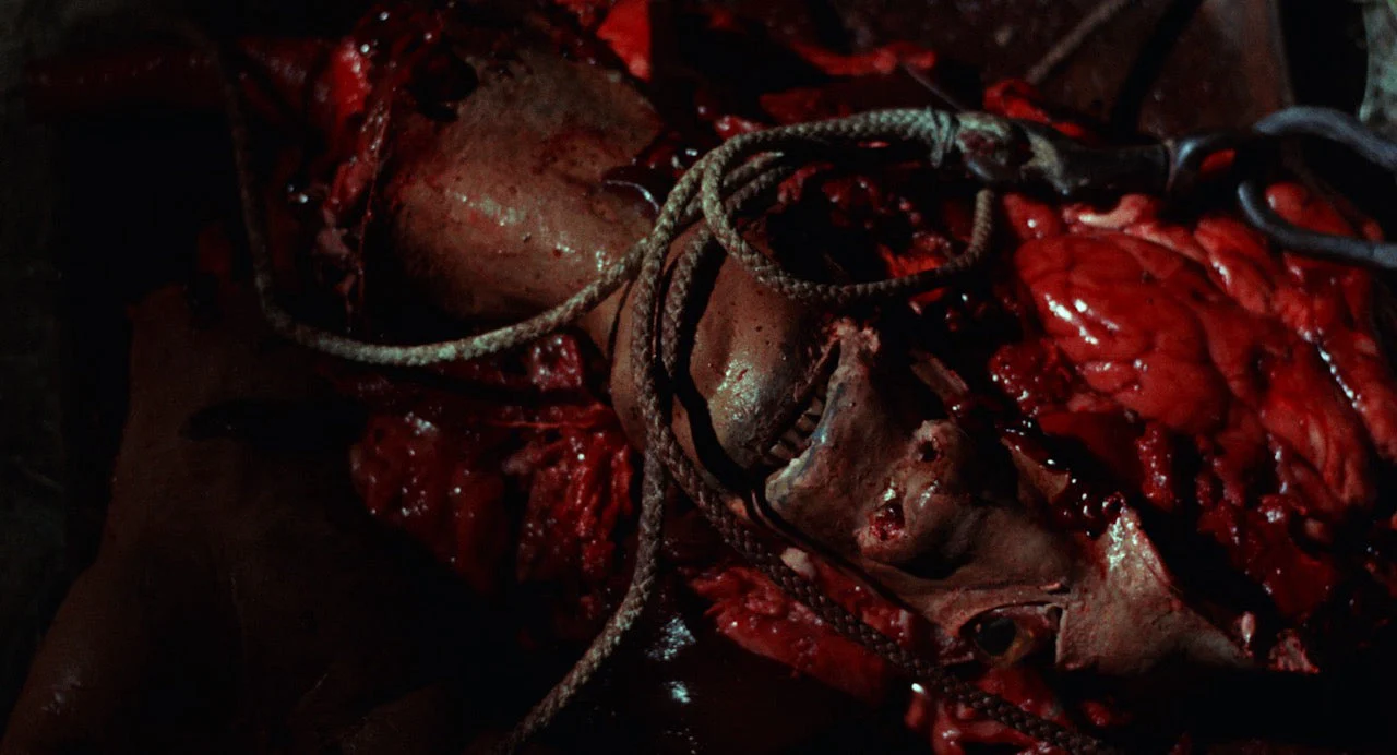 House of Psychotic Women: Rarities Collection Volume 2 [4-Disc Blu-ray Box Set] - Image 42
