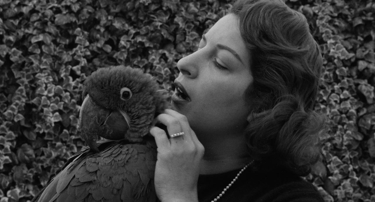 House of Psychotic Women: Rarities Collection Volume 2 [4-Disc Blu-ray Box Set] - Image 53