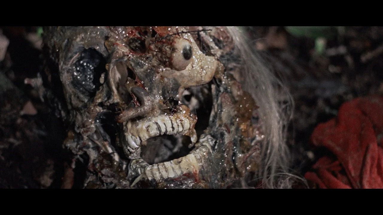 Last Cannibal World [LE 3-Disc 4K UHD + Booklet w/Exclusive Slipcover] - Image 4
