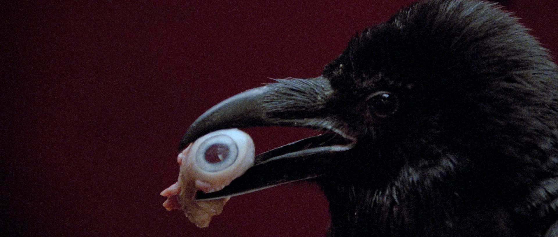 Opera [3-Disc 4K UHD] - Image 8