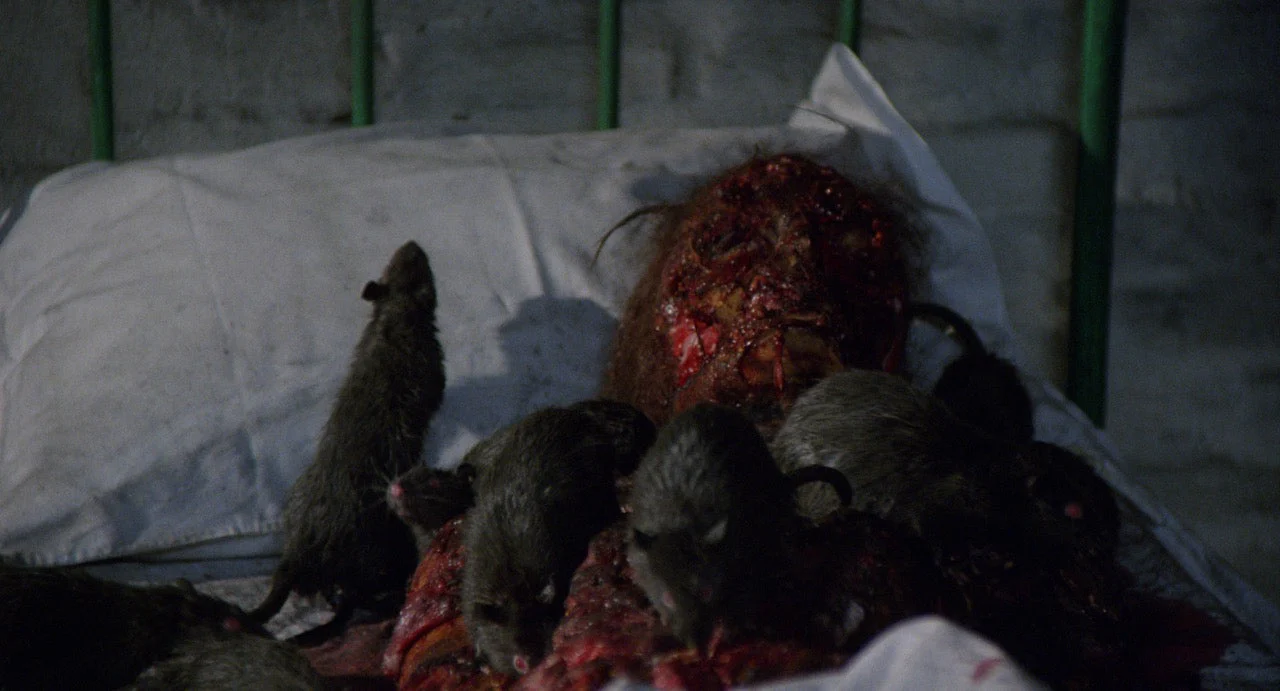 Rats: Night of Terror [LE 3-Disc 4K UHD + CD w/Exclusive Slipcover] - Image 6