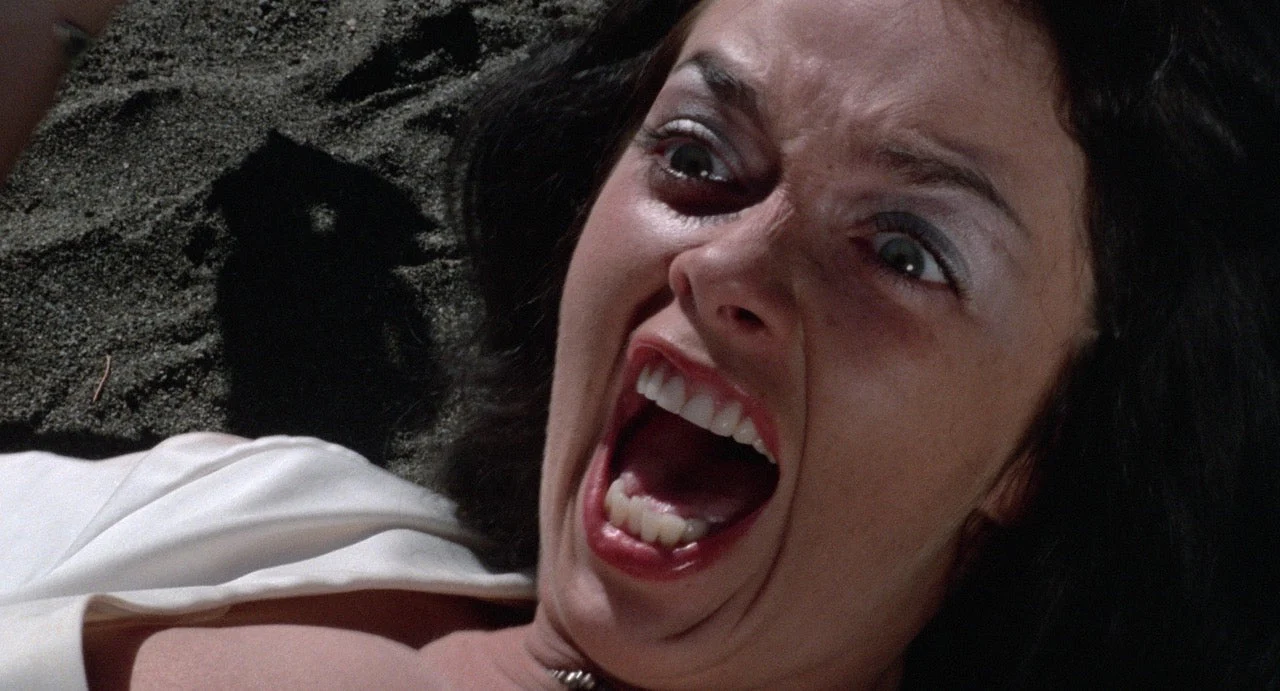 Russ Meyer's Up! [2-Disc 4K UHD w/Slipcover] - Image 9